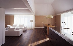 dachausbau1
